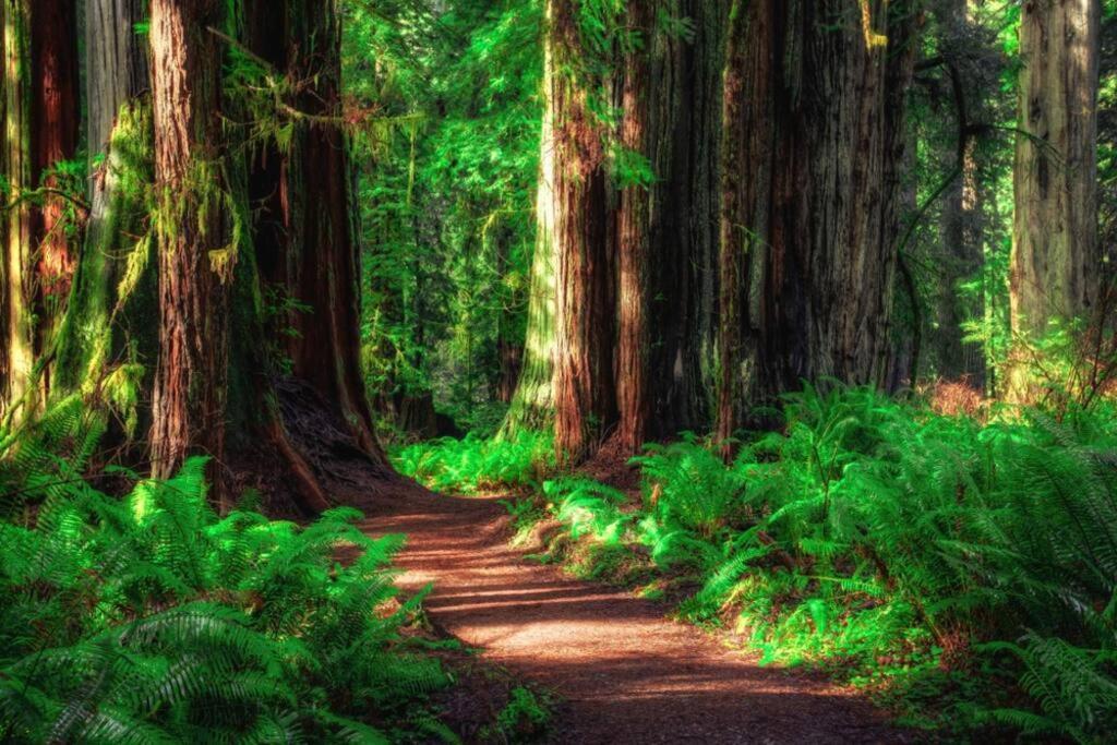 Bear Mountain - Suite 2 Ґрантс-Пасс Екстер'єр фото